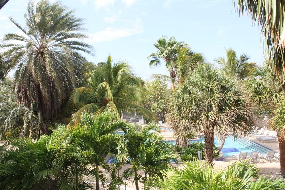 弗洛里斯套房水疗酒店及海滩俱乐部 Piscadera Bay 外观 照片